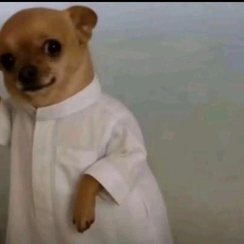 Miuh