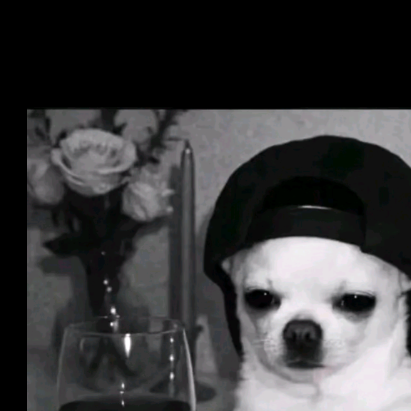 Jame