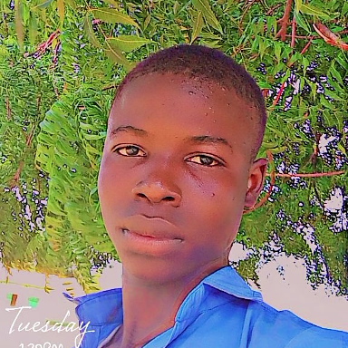 Dromis