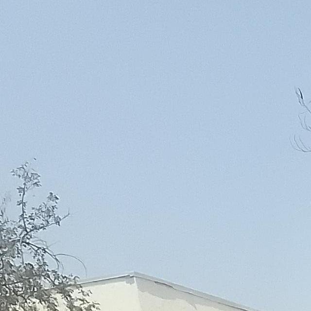 Aiw
