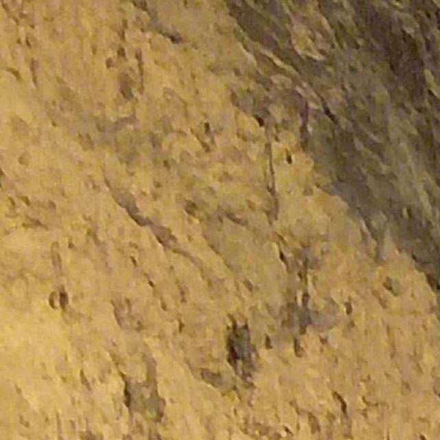 Ustamah