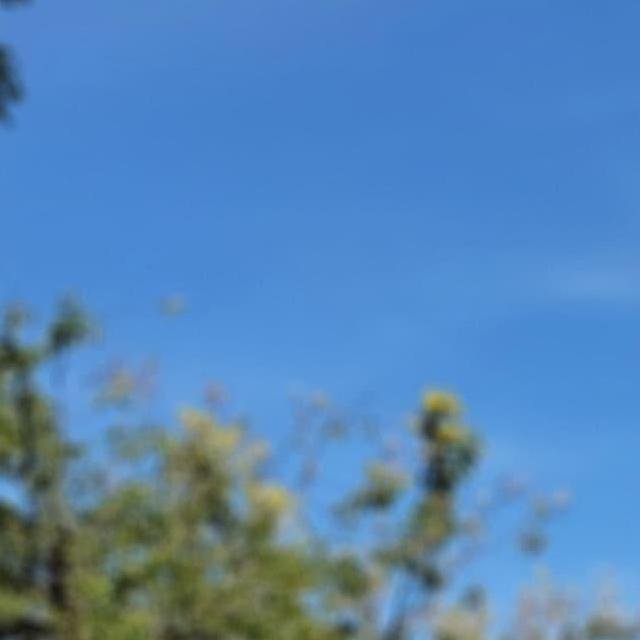 Merlin01