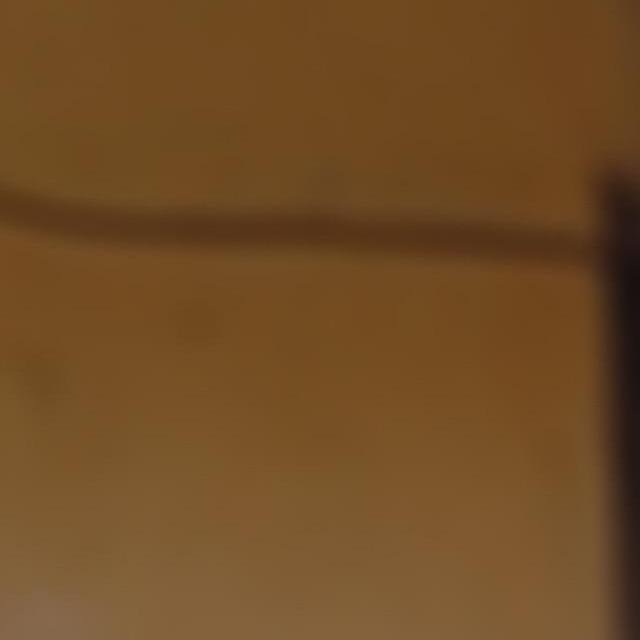 xilent1