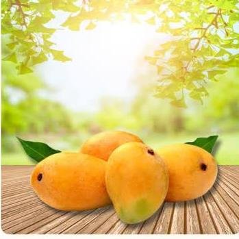 drymangoinpakistan