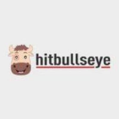 Hitbullseye