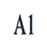 A1 Tours India